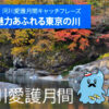令和元年度 2019 7月 河川愛護月間 楽しもう魅力あふれる東京の川 クリアファイル かわいこちゃんファミリー 川のパネル展
