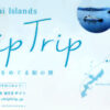 Amami Islands Ship Trip クリアファイル アイランダー2022 奄美群島航空 航路運賃軽減協議会 鹿児島県旅客船協会 船旅 非売品
