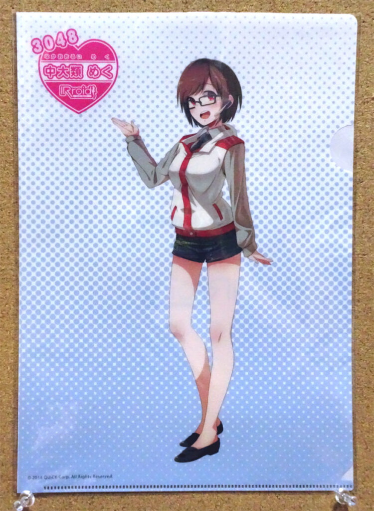 IRroid SMBC 日興証券 クリアファイル 中大類めく 3048 株式会社ビックカメラ アイアールロイド 株式コード IR情報 株式会社QUICK