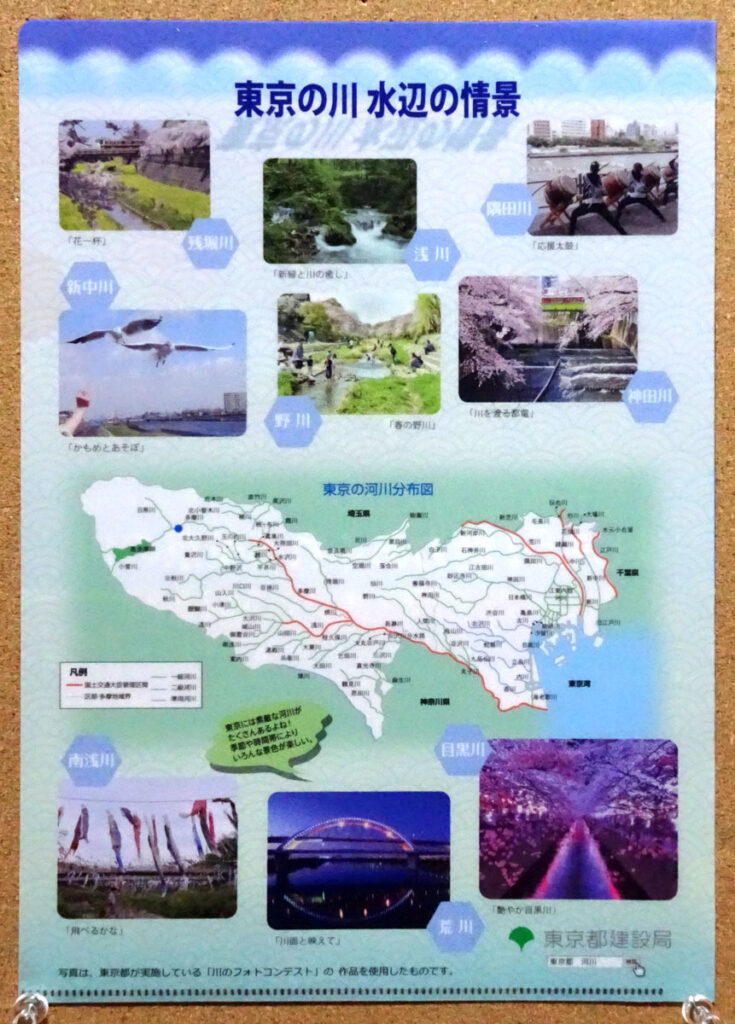令和元年度 2019 7月 河川愛護月間 楽しもう魅力あふれる東京の川 クリアファイル かわいこちゃんファミリー 川のパネル展