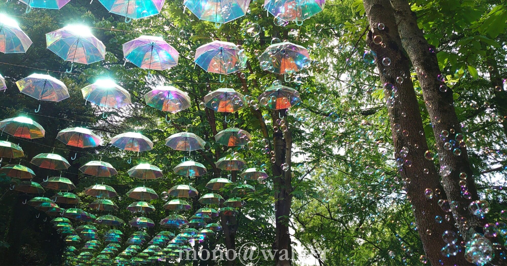 ムーミンバレーパーク・メッツァビレッジ テーマパーク 埼玉県飯能市 ムーミンパークゾーン 会場風景 アンブレラスカイ