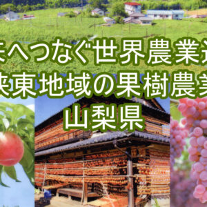 山梨県 峡東地域 世界農業遺産推進協議会 クリアファイル