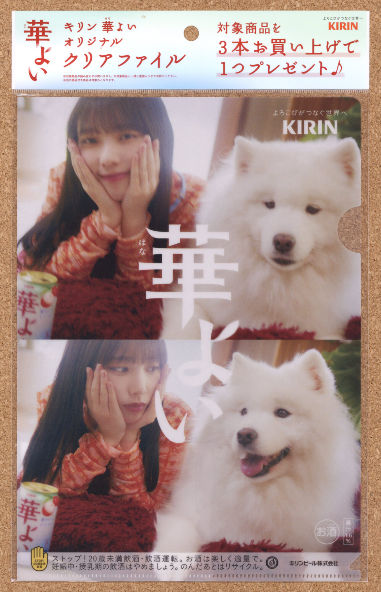 キリン華よい 与田祐希 山下美月 クリアファイルキャンペーン スーパー KIRIN